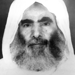 الشيخ محمد نور بن سيف المهيري